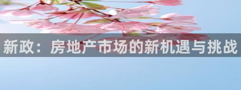 新宝5登录测速中心：新政：房地产市场的新机遇与挑战