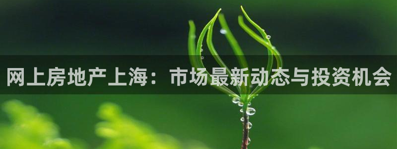 新宝5日740005蔻：网上房地产上海：市场最新动态与投资机