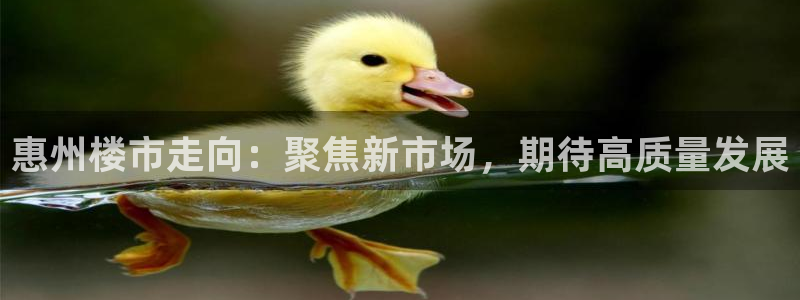 新宝5登录网址：惠州楼市走向：聚焦新市场，期待高质量发展