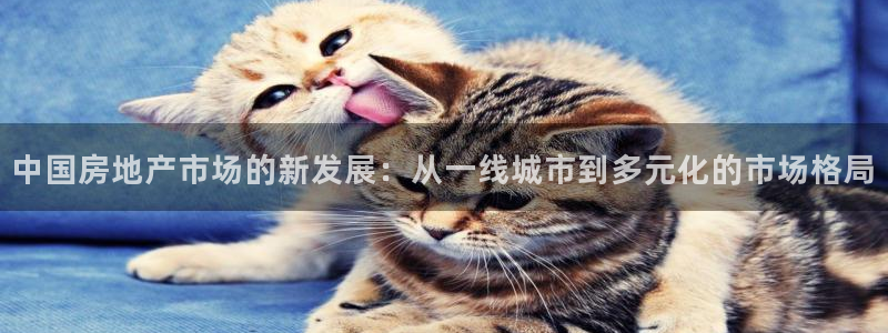 新宝5寂创33300散：中国房地产市场的新发展：从一线城市到