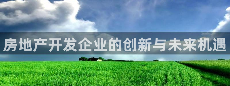 新宝5日谢29999：房地产开发企业的创新与未来机遇