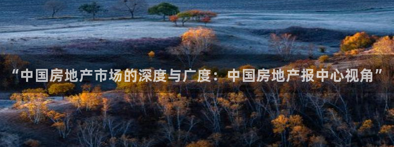 新宝5直属：“中国房地产市场的深度与广度：中国房地产报中心视