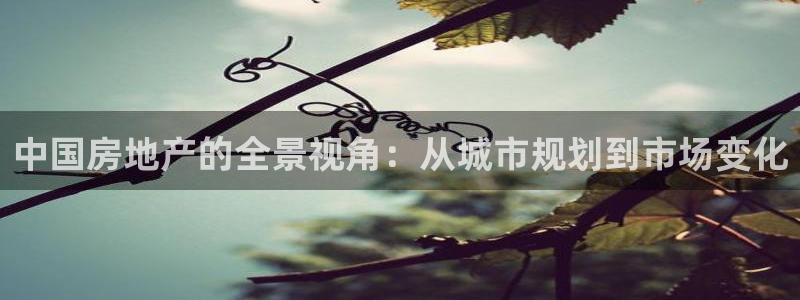 新宝5总代：中国房地产的全景视角：从城市规划到市场变化