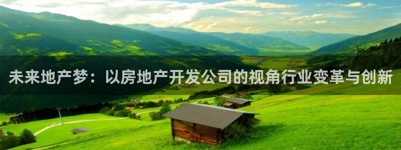 新宝5彩票娱乐平台：未来地产梦：以房地产开发公司的视角行业变