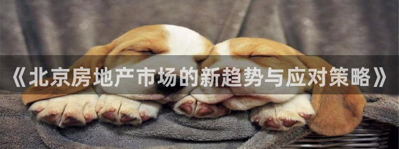 新宝5官方：《北京房地产市场的新趋势与应对策略》