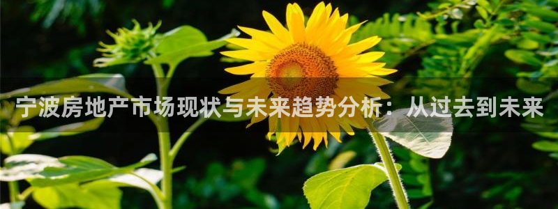 新宝3得74OO5：宁波房地产市场现状与未来趋势分析：从过去