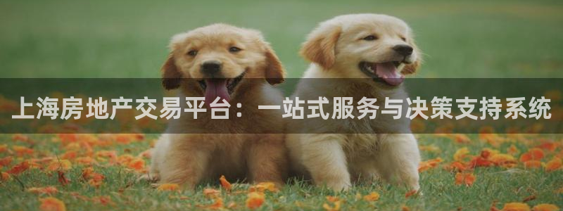 老新宝5授权登录：上海房地产交易平台：一站式服务与决策支持系