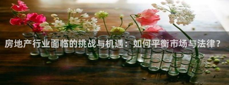 新宝cR一5：房地产行业面临的挑战与机遇：如何平衡市场与法律