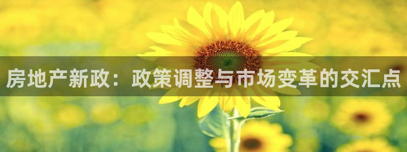 新宝G5：房地产新政：政策调整与市场变革的交汇点