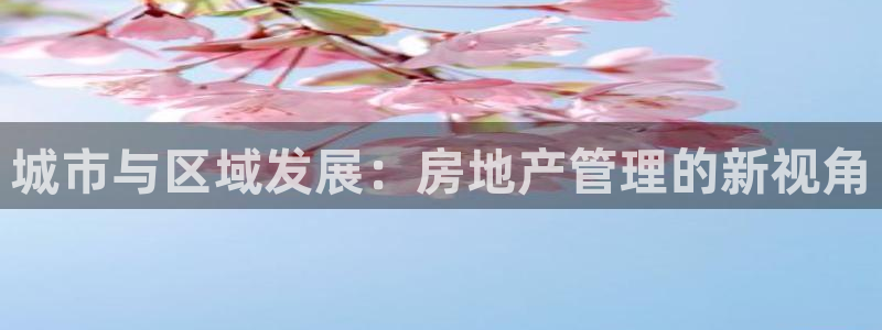 新宝5注册测速登录：城市与区域发展：房地产管理的新视角