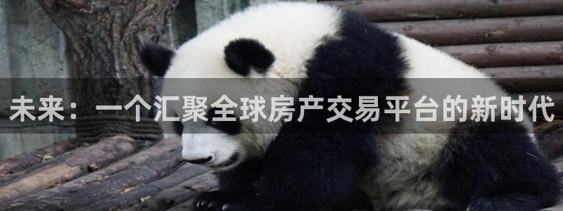 新宝5如何注册登录：未来：一个汇聚全球房产交易平台的新时代