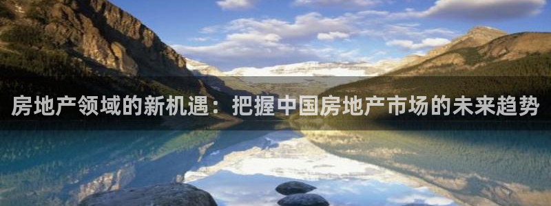 新宝5尤74OOO5：房地产领域的新机遇：把握中国房地产市场