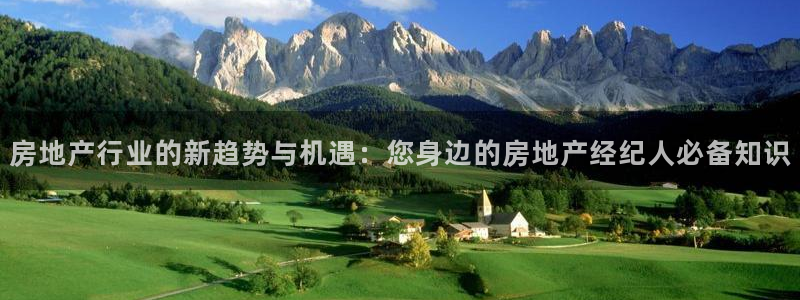 新宝5官网霸：房地产行业的新趋势与机遇：您身边的房地产经纪人