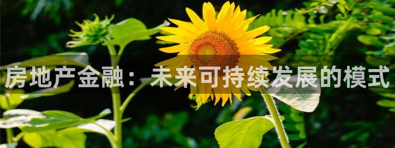 新宝rm5：房地产金融：未来可持续发展的模式