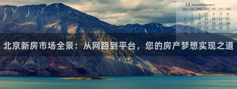 i新宝5：北京新房市场全景：从网路到平台，您的房产梦想实现之