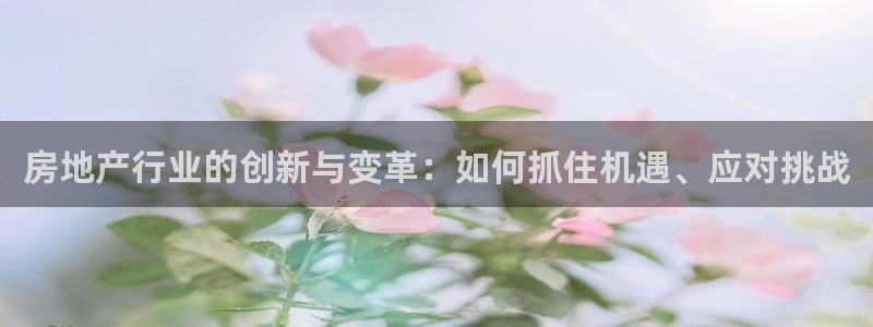 新宝5娱乐方：房地产行业的创新与变革：如何抓住机遇、应对挑战