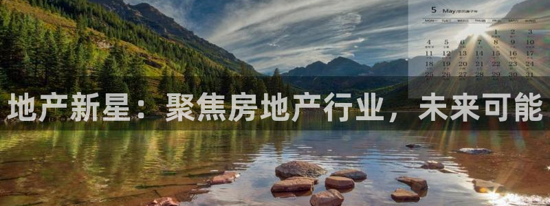 新宝集团新宝5：地产新星：聚焦房地产行业，未来可能
