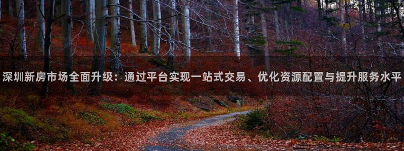 新宝5是谁：深圳新房市场全面升级：通过平台实现一站式交易、优