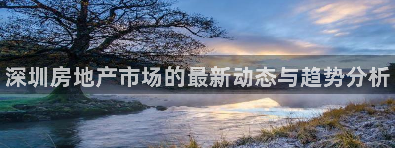 新宝5线路登录检测：深圳房地产市场的最新动态与趋势分析