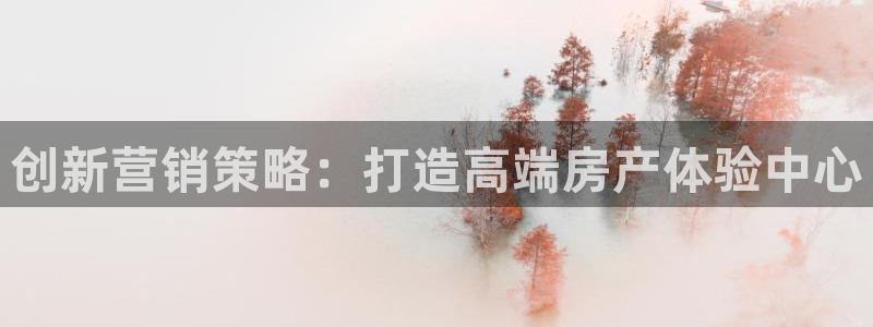新宝新5：创新营销策略：打造高端房产体验中心