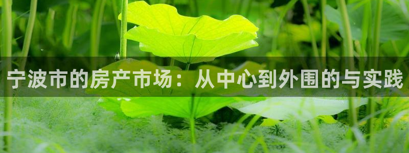 新宝5下载注册：宁波市的房产市场：从中心到外围的与实践