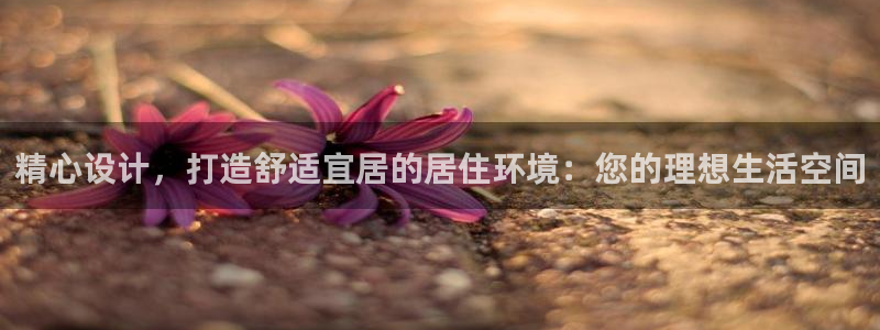 新宝股东瞧听2 5 5：精心设计，打造舒适宜居的居住环境：您