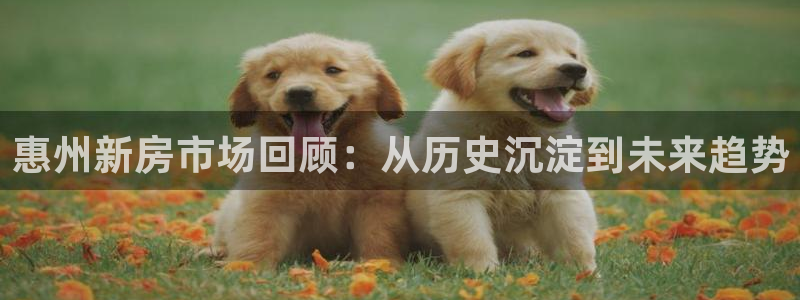 新宝5娱乐方：惠州新房市场回顾：从历史沉淀到未来趋势