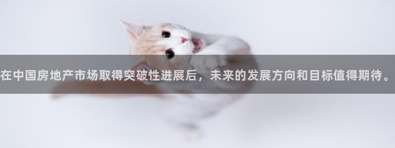 新宝5测速在线：在中国房地产市场取得突破性进展后，未来的发展