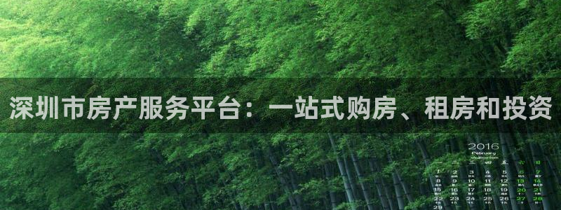 新宝5户端：深圳市房产服务平台：一站式购房、租房和投资
