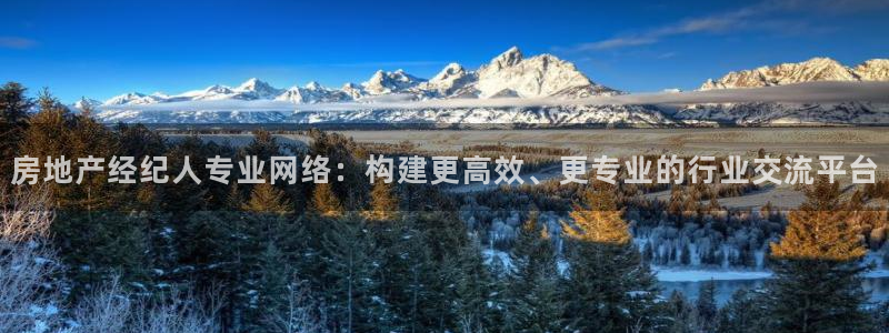 新宝5线路：房地产经纪人专业网络：构建更高效、更专业的行业交