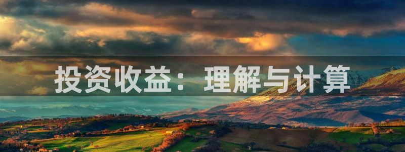 新宝5手机下载：投资收益：理解与计算