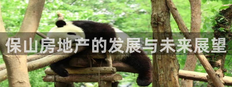 新宝3得74OO5：保山房地产的发展与未来展望