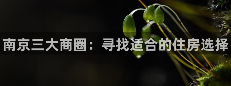 新宝5注册：南京三大商圈：寻找适合的住房选择