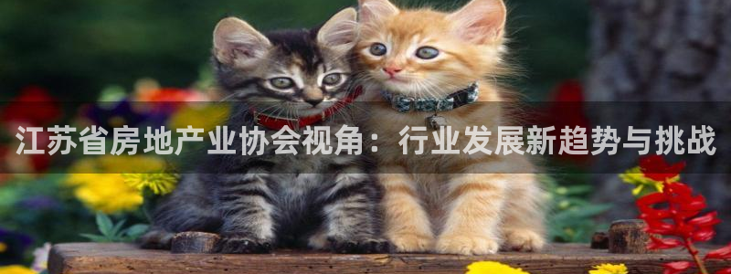 新宝5找找74OOO5：江苏省房地产业协会视角：行业发展新趋