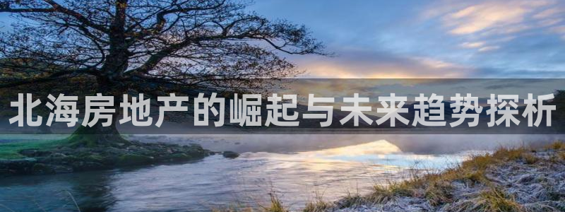 新宝5测速下载：北海房地产的崛起与未来趋势探析