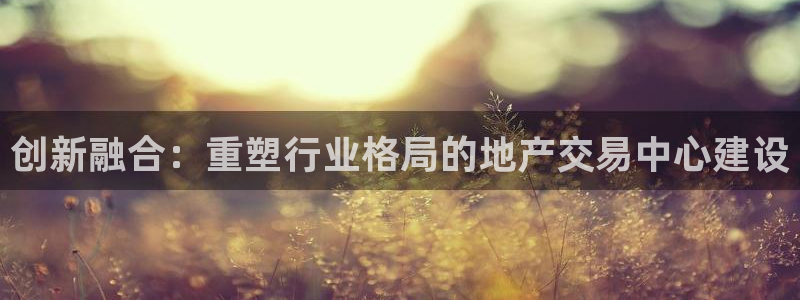 新宝注5册：创新融合：重塑行业格局的地产交易中心建设