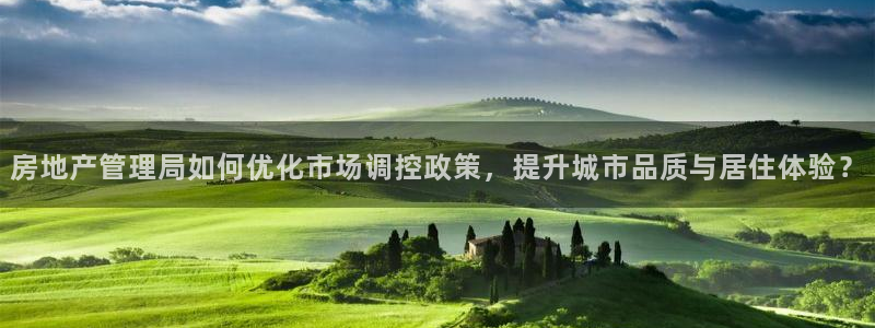 新宝5注册平台：房地产管理局如何优化市场调控政策，提升城市品