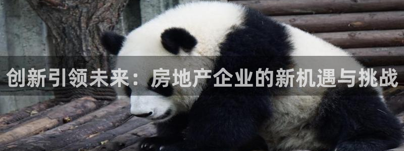 新宝5官方下载地址：创新引领未来：房地产企业的新机遇与挑战