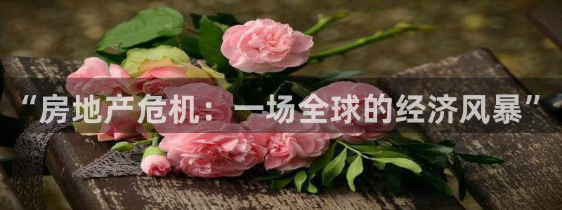 新宝5招商部：“房地产危机：一场全球的经济风暴”