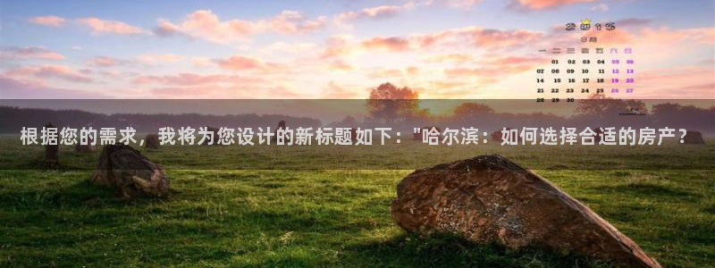 新宝5下载官方：根据您的需求，我将为您设计的新标题如下：\