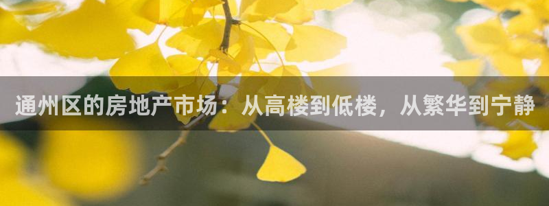 新宝5-测速：通州区的房地产市场：从高楼到低楼，从繁华到宁静