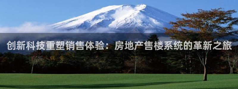 新宝5主管：创新科技重塑销售体验：房地产售楼系统的革新之旅