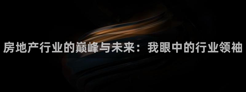 新宝5平台注册：房地产行业的巅峰与未来：我眼中的行业领袖