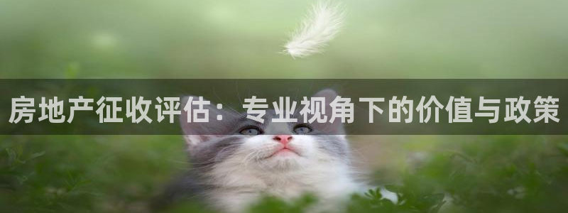 新宝5蒋74OOO5：房地产征收评估：专业视角下的价值与政策