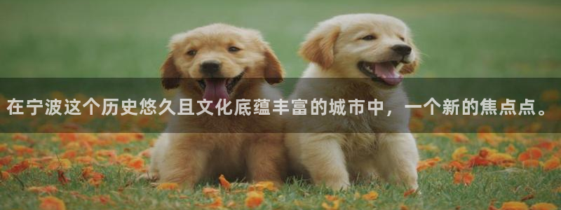 新宝5秒开：在宁波这个历史悠久且文化底蕴丰富的城市中，一个新