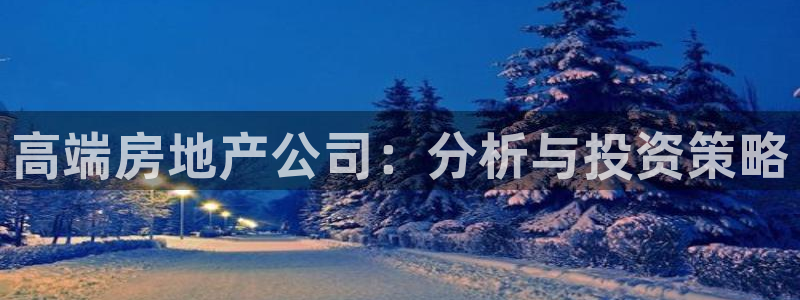 新宝5天：高端房地产公司：分析与投资策略
