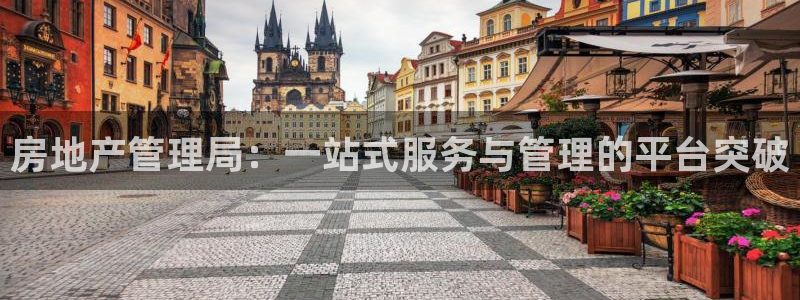 新宝5：房地产管理局：一站式服务与管理的平台突破