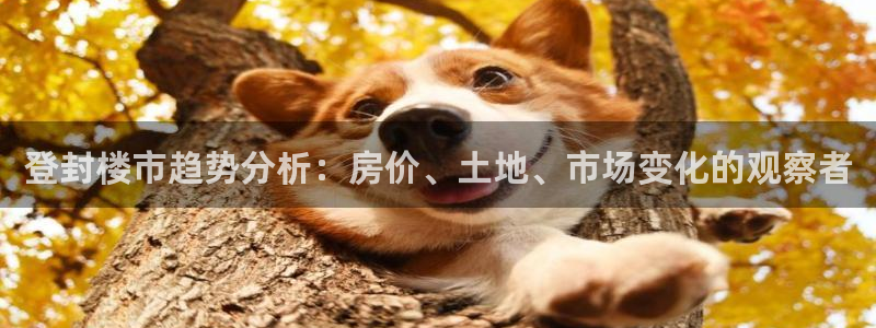 新宝5浗维33 300：登封楼市趋势分析：房价、土地、市场变