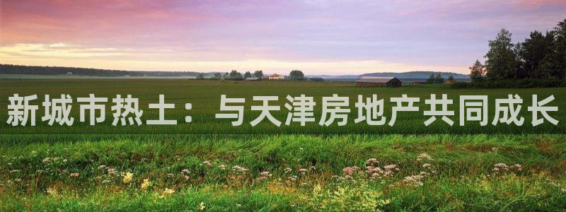 新宝5登录注册：新城市热土：与天津房地产共同成长