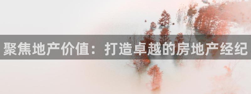 新宝5注册测速登录：聚焦地产价值：打造卓越的房地产经纪